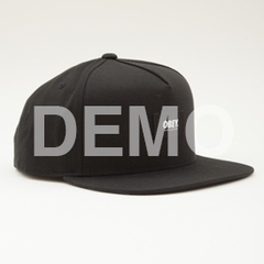 World Wide Snapback Hat