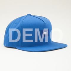 World Wide Snapback Hat